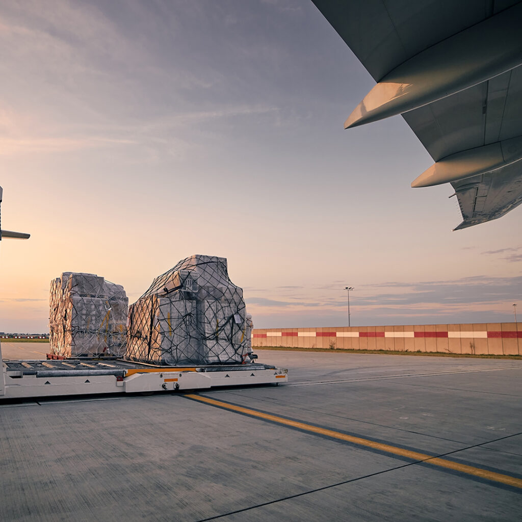 Module 5 “Screening of Supplies” (with equipment) – initial training